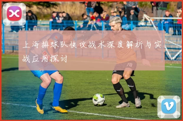 上海排球队快攻战术深度解析与实战应用探讨