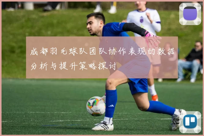 成都羽毛球队团队协作表现的数据分析与提升策略探讨