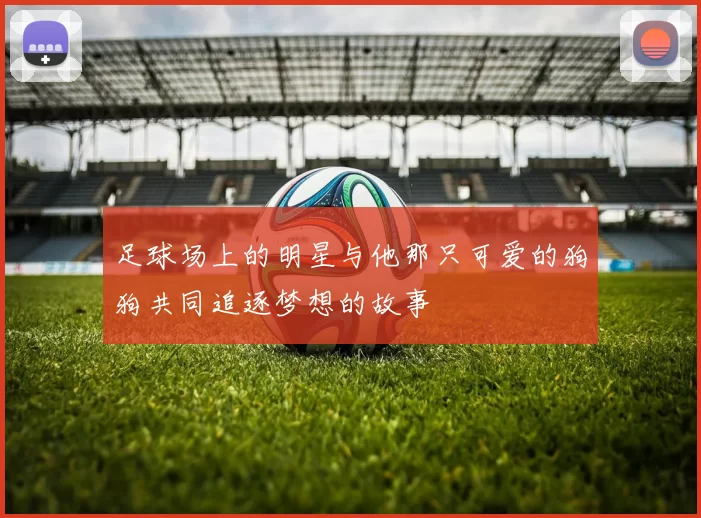 足球场上的明星与他那只可爱的狗狗共同追逐梦想的故事
