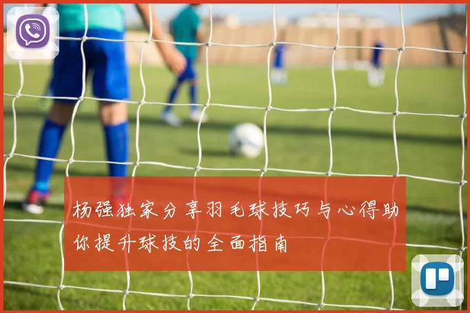 杨强独家分享羽毛球技巧与心得助你提升球技的全面指南