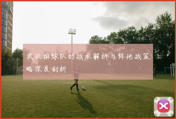 武汉排球队的战术解析与阵地战策略深度剖析