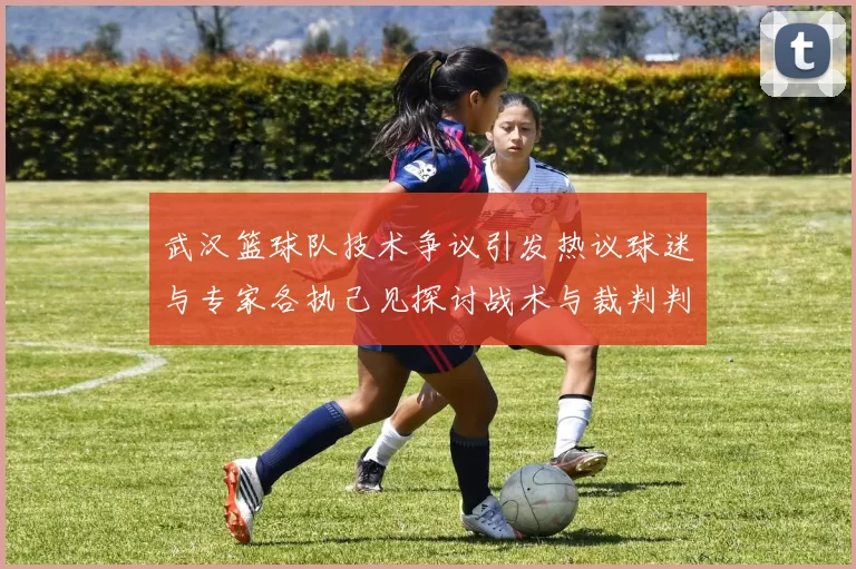 武汉篮球队技术争议引发热议球迷与专家各执己见探讨战术与裁判判罚