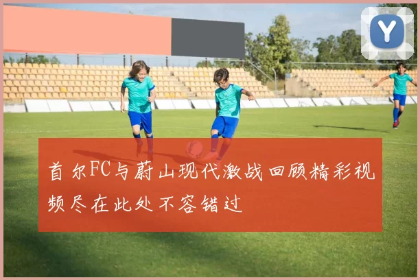 首尔FC与蔚山现代激战回顾精彩视频尽在此处不容错过