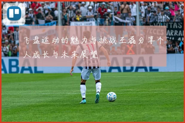 飞盘运动的魅力与挑战王磊分享个人成长与未来展望