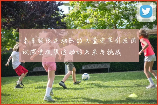 南京极限运动队的力量变革引发热议探索极限运动的未来与挑战