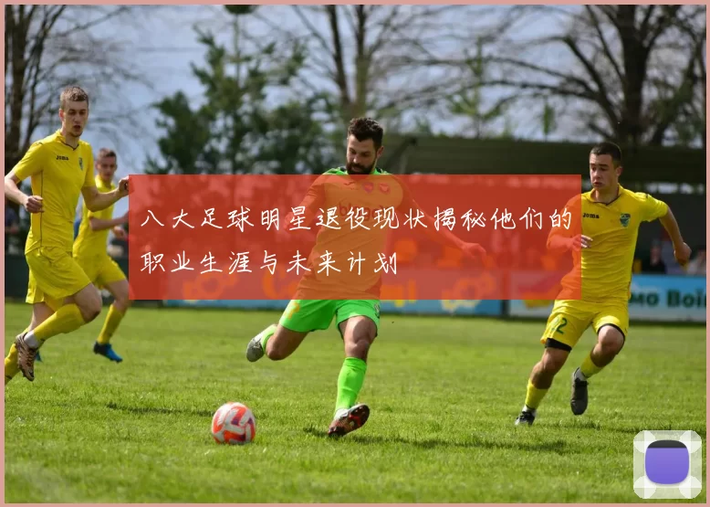 八大足球明星退役现状揭秘他们的职业生涯与未来计划