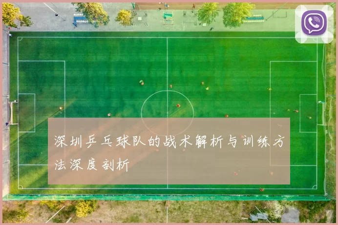 深圳乒乓球队的战术解析与训练方法深度剖析