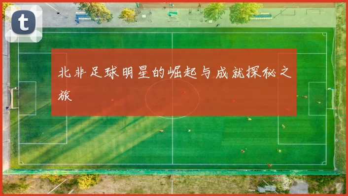 北非足球明星的崛起与成就探秘之旅