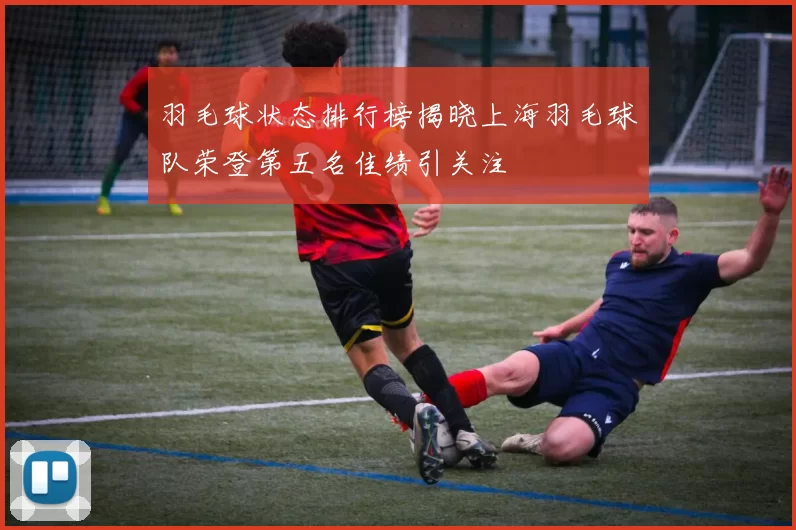 羽毛球状态排行榜揭晓上海羽毛球队荣登第五名佳绩引关注