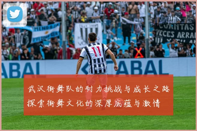 武汉街舞队的耐力挑战与成长之路探索街舞文化的深厚底蕴与激情