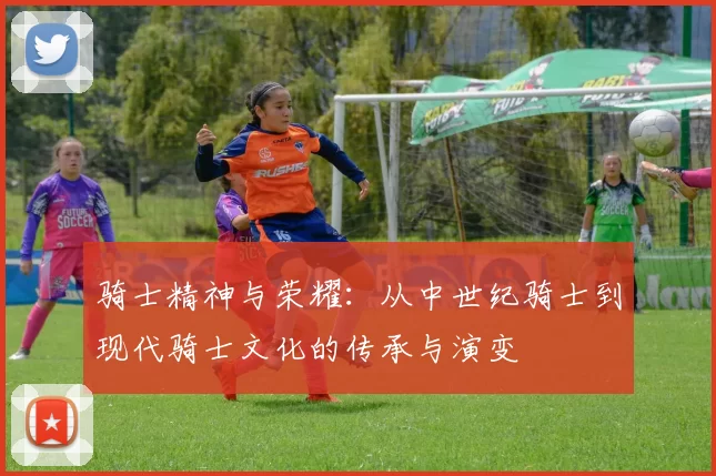 骑士精神与荣耀：从中世纪骑士到现代骑士文化的传承与演变