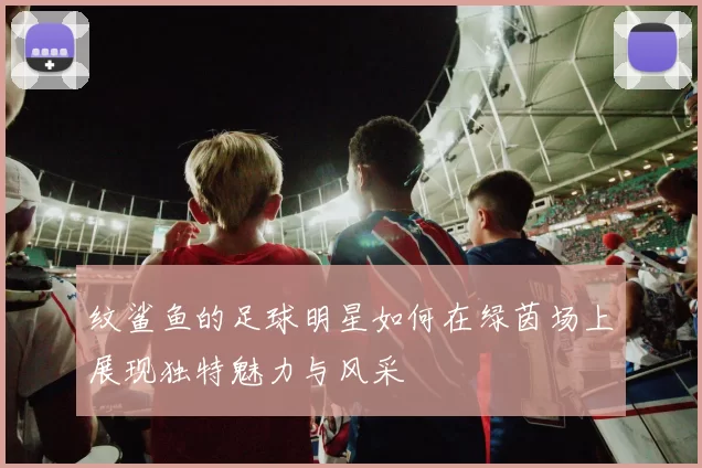 纹鲨鱼的足球明星如何在绿茵场上展现独特魅力与风采