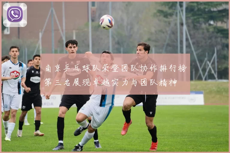 南京乒乓球队荣登团队协作排行榜第三名展现卓越实力与团队精神