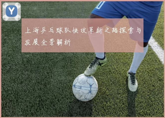 上海乒乓球队快攻革新之路探索与发展全景解析