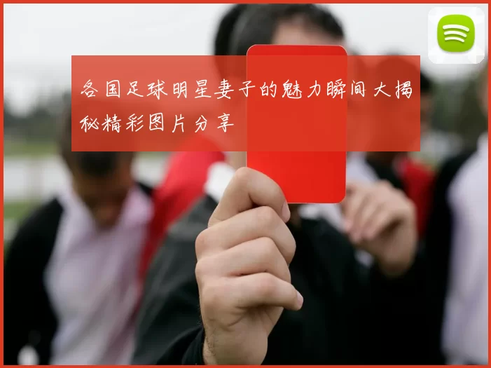 各国足球明星妻子的魅力瞬间大揭秘精彩图片分享