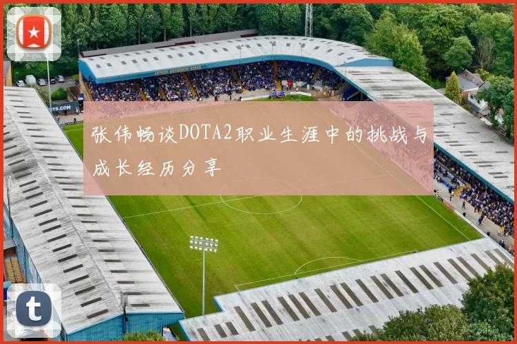张伟畅谈DOTA2职业生涯中的挑战与成长经历分享