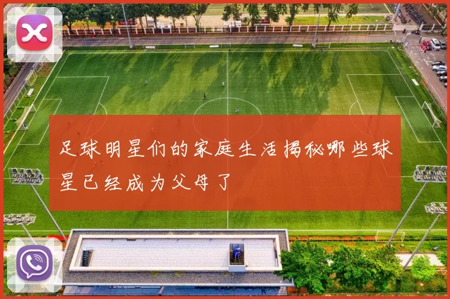 足球明星们的家庭生活揭秘哪些球星已经成为父母了