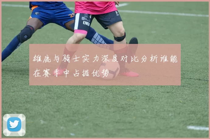 雄鹿与骑士实力深度对比分析谁能在赛季中占据优势