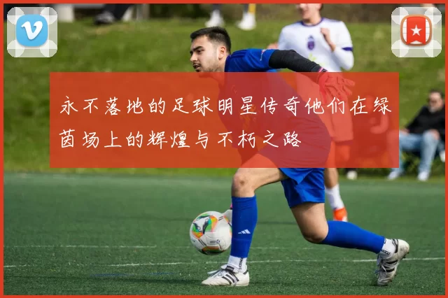 永不落地的足球明星传奇他们在绿茵场上的辉煌与不朽之路